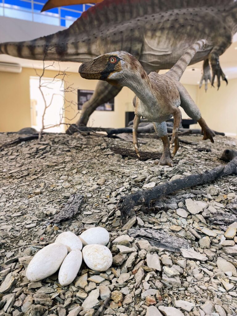 Museu de Paleontologia Plácido Cidade Nuvens