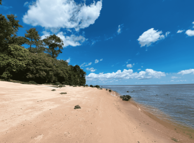 Ilha de Cotijuba