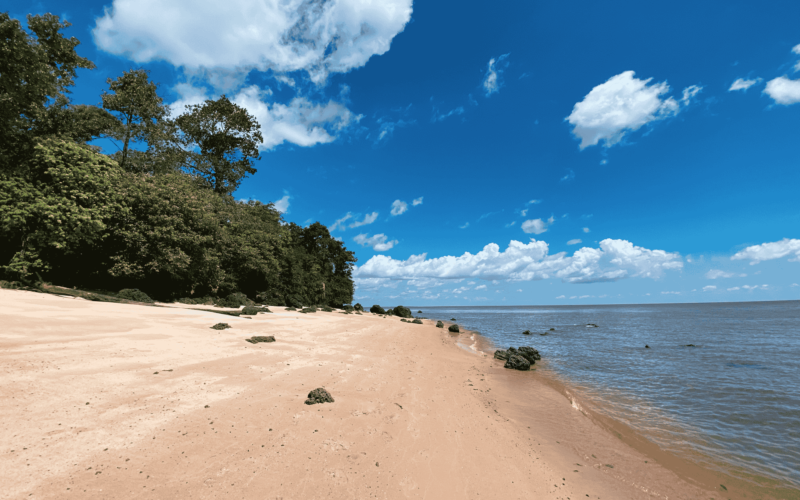 Ilha de Cotijuba